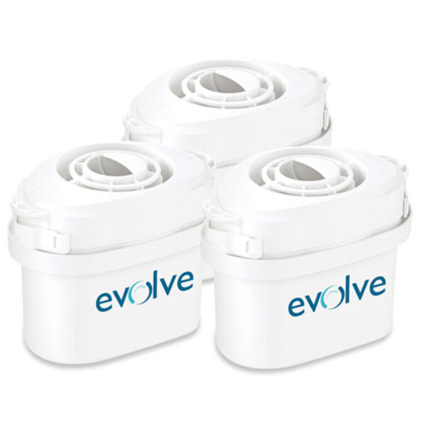 TAURUS EVS301 3 PACK OF 30 DAY FILTER WATER FILTER Masons