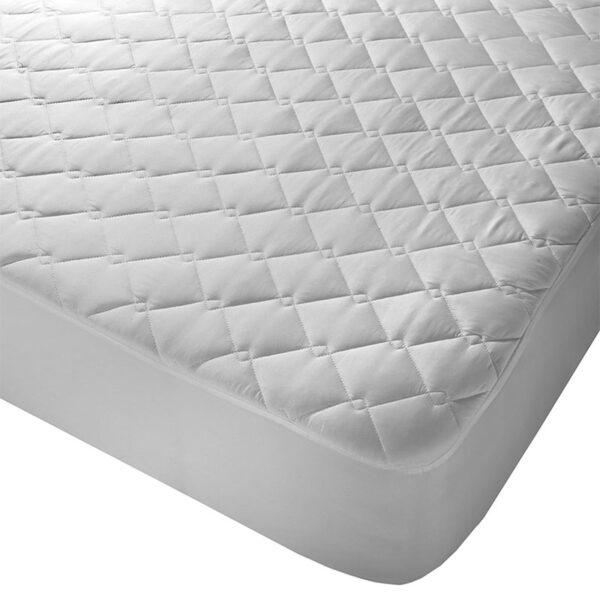 Sealy Clean-Shield Queen (152cm) Mattress Protector Masons