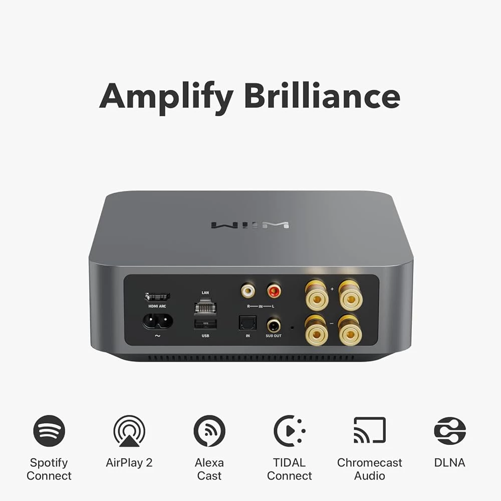 WIIM AMP GREY 3 WIIM AMP GREY - Image 3